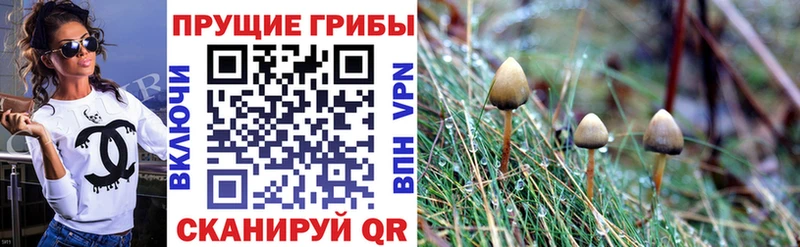 Псилоцибиновые грибы GOLDEN TEACHER  Сорочинск 