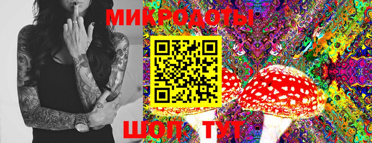 Сорочинск  Псилоцибиновые грибы MAGIC MUSHROOMS  Псилоцибиновые грибы MAGIC MUSHROOMS  Вход с VPN 