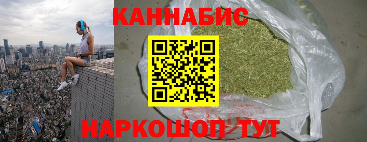 Конопля гибрид Сорочинск